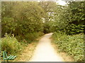 Footpath in Attenborough Nature Reserve in NG9 6AQ