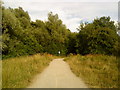 Footpath through Attenborough nature reserve in NG9 6AQ