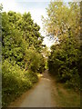 Footpath through the Nature Reserve in NG9 6AQ