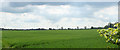 2010 : Wheatfield west of Grittleton in SN14 6AQ