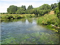 The River Itchen looking downstream in SO21 1FS