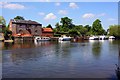 The Thames at Wallingford in OX10 8FX