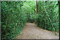 Footpath south to Rusthall in TN3 0TA