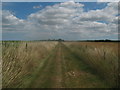Footpath towards Buckwell Farm in CT3 4JL