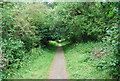 Footpath across Rusthall Common in TN4 8PL