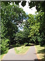 Paths on Southampton Common in SO16 7AH