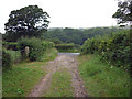 Junction of track with lane near Dandy Birks in Claughton