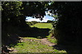 A footpath from Lower Campscott to the road near Lee Bridge in EX34 8LS