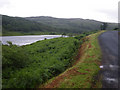 Bracken lined B8073 Road skirting Loch Peallach in PA75 6QA