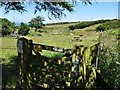 A gate onto the footpath which leads from Lower Campscott to Lee in EX34 8LS