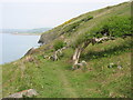 On the Ceredigion Coast Path, north-east of Aberarth in SA46 0LY
