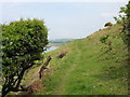The Ceredigion Coast Path in SY23 5JN