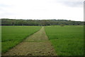 A strip cut across a field near Wapsbourne Wood in RH17 7NW