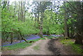 Sussex Ouse Valley Path through Wapsbourne Wood in RH17 7NW