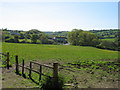 Field north of the B4321, near the Urdd Centre in SA44 6AF