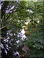 River Ore under the old B1116 Bridge in IP13 9LS