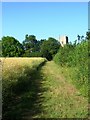 Footpath to St Mary's, Rougham in IP30 9LN
