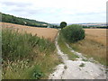 Byway leading from Chapel Lane to Court Farm, Upper Halling in ME2 1JQ