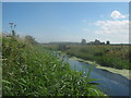 The River Little Stour looking upstream in CT3 1FH