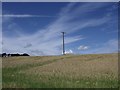 Lines over the barley in G65 9SS