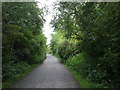 A path in Heaton Park in M8 4NB