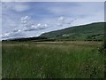 Rough Grazing in G66 8ET
