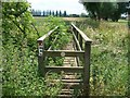 Footbridge amid the  greenery in WR11 7RL