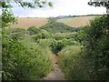 Bridleway into the Porth valley in TR7 3HU
