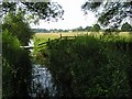 Dyke and farmland, near Horning in NR12 8XU