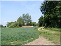 Track to Packway Farm in IP17 2JX