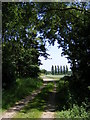 Track to Packway Farm in IP19 9BH