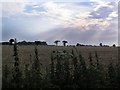 Farmland, Ludham in NR29 5PT