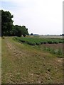 Farmland, Catfield in NR29 5QR