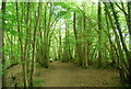 Footpath through Pain's Wood in RH17 7BA