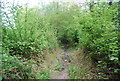 Footpath in Pain's Wood in RH17 7BA