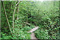 Footbridges in Pain's Wood in RH17 7BA