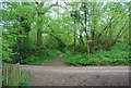 Footpath crossroads in RH17 7BA