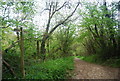 Footpath heading south west in RH17 7BA
