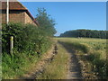 Stour Valley Walk towards Fordwich Farm in CT2 0AD