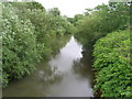 River Derwent, Norton-on-Derwent in YO17 9JH