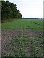 Farmland, near Hickling in NR12 0AX