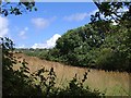 Meadow near Trewassick in TR8 4JR