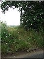 Footpath Post in Little Horkesley