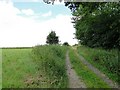 Farm Track in PE32 2DU