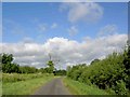 Turn left from Grove Lane at the dead tree for Retford in East Retford East Ward