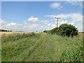 Footpath off Newton Road, Norfolk in PE32 2DB