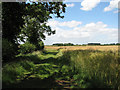 Farm track along a field's edge in PE32 2DE