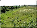 Cultivated field north of dismantled railway trackbed in PE32 2DE