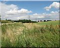 Electricity pylons in cultivated fields north of Southacre Road in PE32 2EL