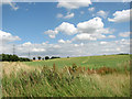 Undulating fields north-west of Great Palgrave in PE32 2EL
